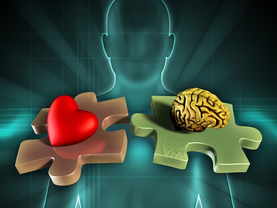 הקשר שבין המוח ללב - לב בריא